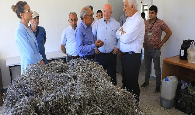 Muğla’da Büyükşehir Belediyesi’nin Tarımsal Güçbirliği Projesi Üreticiye Kazandırıyor