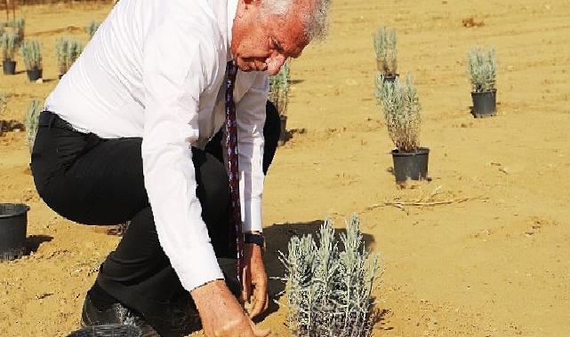 Ödemiş Belediyesi’nden “Tıbbi-Aromatik Bitki Bahçesi” hamlesi