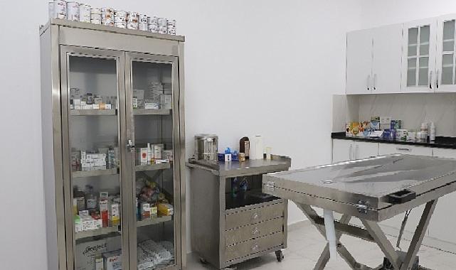Şile Belediyesi’nden Sokak Hayvanları için Özel Operasyon Merkezi