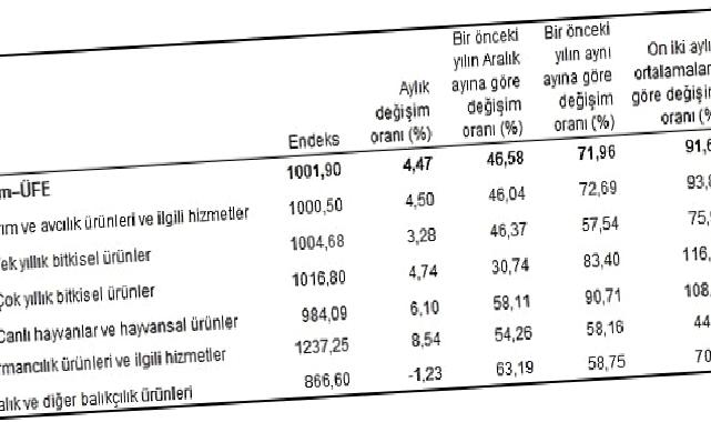 Tarım ürünleri üretici fiyat endeksi (Tarım-ÜFE) yıllık yüzde 71,96, aylık yüzde 4,47 arttı