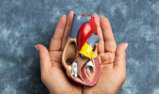 3-9 kasım organ bağışı ve nakli haftası