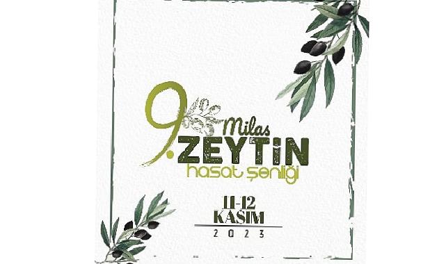 9 Milas zeytin hasat şenliği heyecanı başlıyor