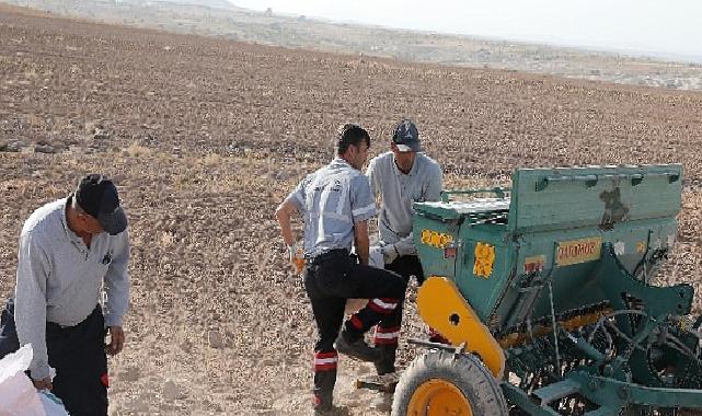 Nevşehir belediyesi yerli tohum ile buğday ekimi gerçekleştirdi