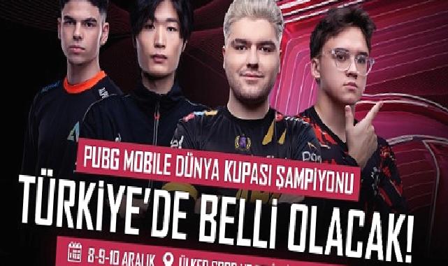 Dünya Şampiyonu bu hafta İstanbul’da belli olacak