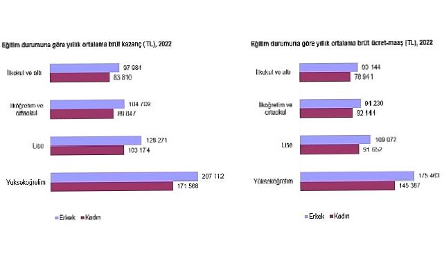 Kazanç Yapısı İstatistikleri, 2022