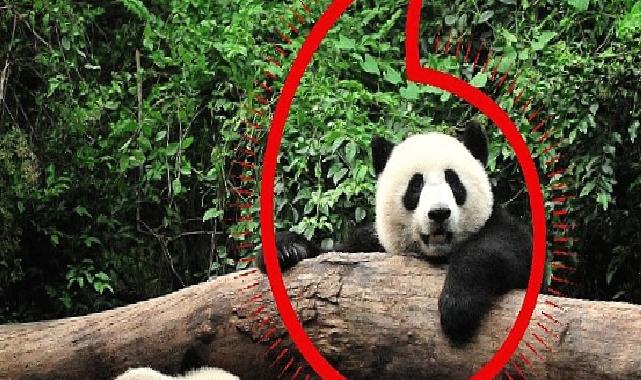 Vodafone ve WWF’ten “Gezegen İçin Bir Milyon Telefon” kampanyası
