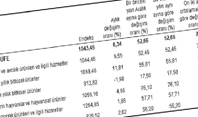 Tarım ürünleri üretici fiyat endeksi (Tarım-ÜFE) yıllık yüzde 52,66, aylık yüzde 6,34 arttı