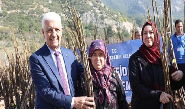 Muğla Büyükşehir Belediyesi 53 Bin Adet Meyve Fidanı Dağıtıyor