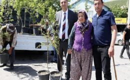 Bir yılda 10 bin meyve fidanı dağıtılacak