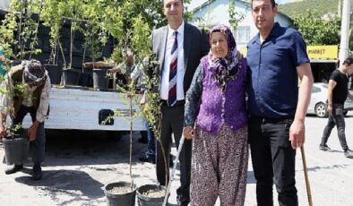 Bir yılda 10 bin meyve fidanı dağıtılacak