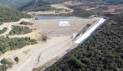 Manisalı üreticiye Çamönü Müjdesi