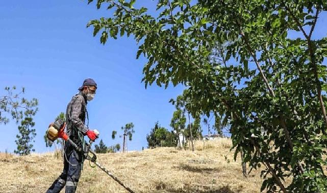 Buca’da yangın riskine karşı kosa önlemi