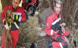 Muğla Büyükşehir İtfaiyesinden Hayvan Kurtarma Operasyonu