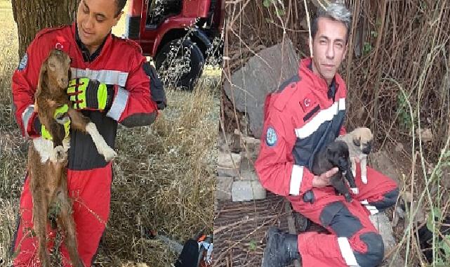 Muğla Büyükşehir İtfaiyesinden Hayvan Kurtarma Operasyonu