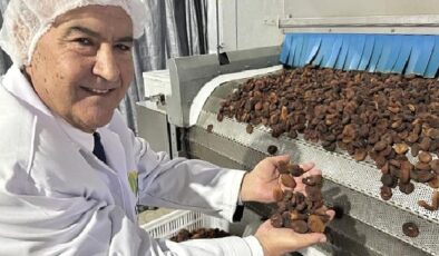 Muhteşem üçlü kuru üzüm, kuru kayısı ve kuru incirin ihracatı 1 milyar doları aştı