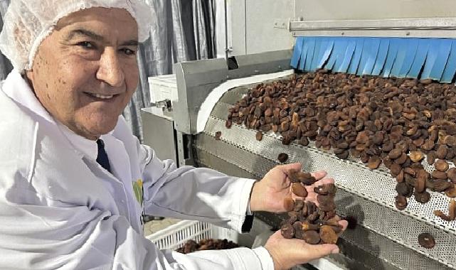 Muhteşem üçlü kuru üzüm, kuru kayısı ve kuru incirin ihracatı 1 milyar doları aştı
