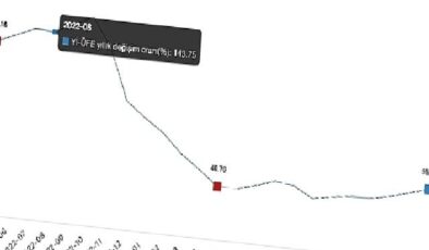 Tüik: Yurt İçi Üretici Fiyat Endeksi (Yİ-ÜFE) yıllık %57,68 arttı, aylık %1,96 arttı