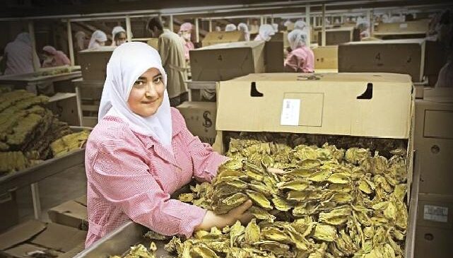 Ege Bölgesi’nin ihracatı 2024 yılının ilk yarısında yüzde 5 azaldı